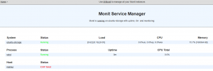 Monit output example