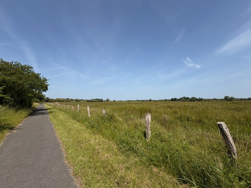 Chemin typique à vélo - Liberté